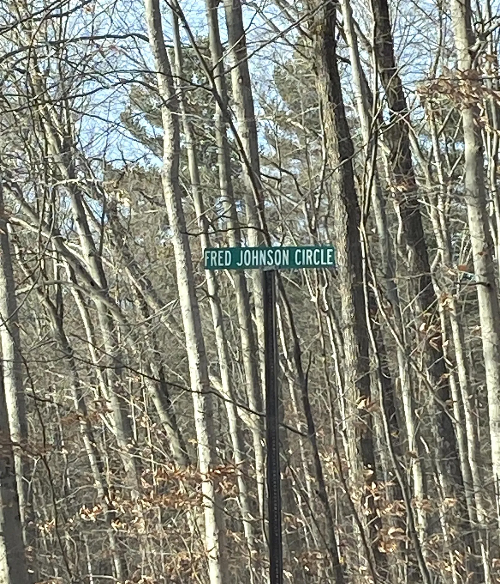 20 Forest Ridge Drive Middlebury VT 05753