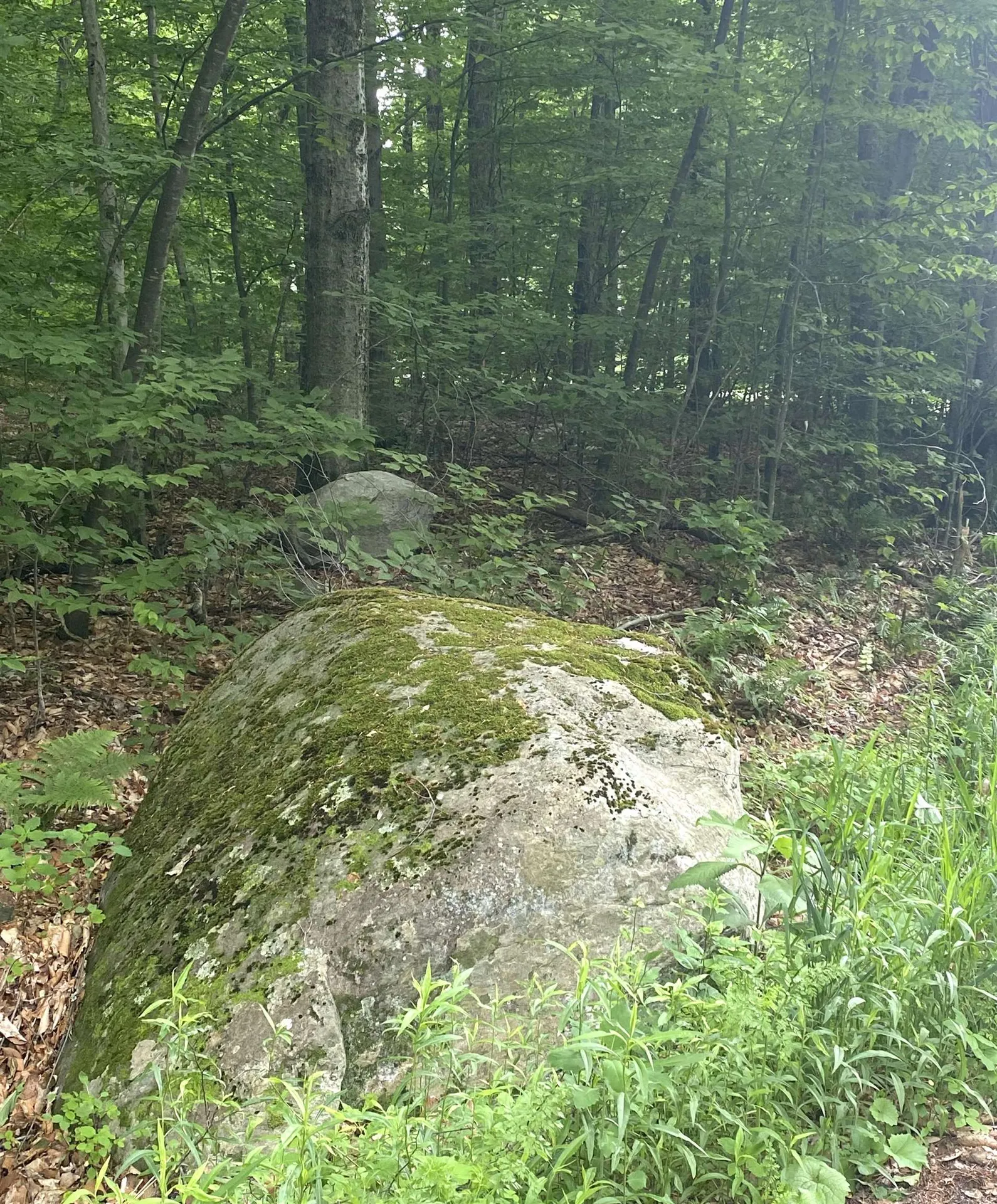 20 Forest Ridge Drive Middlebury VT 05753
