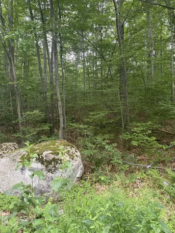 20 Forest Ridge Drive Middlebury VT 05753