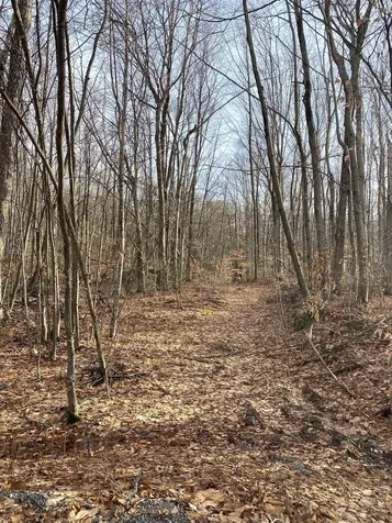 20 Forest Ridge Drive Middlebury VT 05753