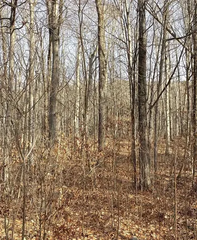 20 Forest Ridge Drive Middlebury VT 05753