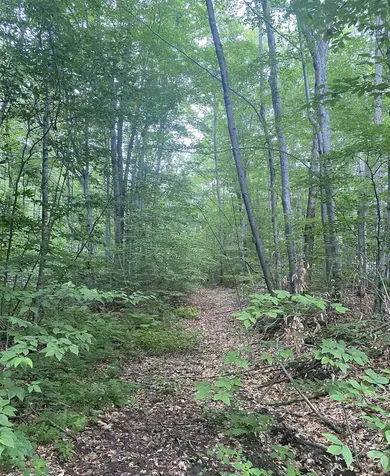 20 Forest Ridge Drive Middlebury VT 05753