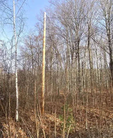 20 Forest Ridge Drive Middlebury VT 05753