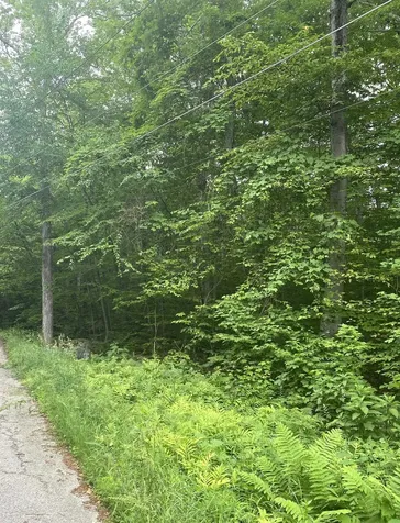 20 Forest Ridge Drive Middlebury VT 05753