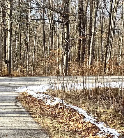 20 Forest Ridge Drive Middlebury VT 05753