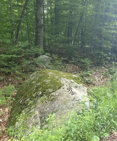 20 Forest Ridge Drive Middlebury VT 05753
