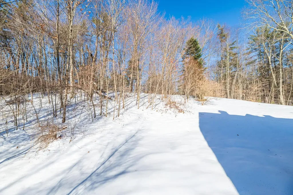 725 Dunlap Farm Road Sunderland VT 05250
