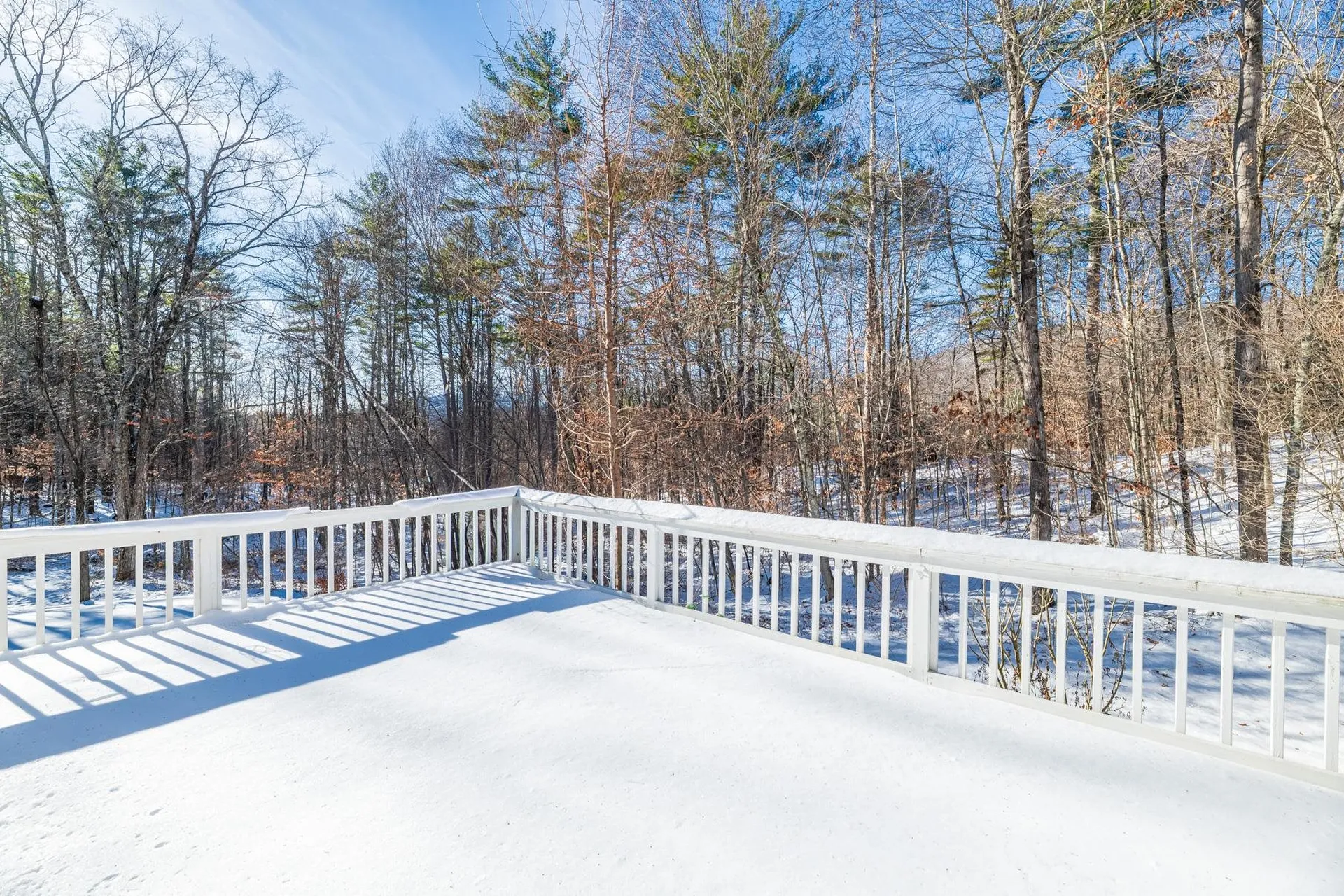 725 Dunlap Farm Road Sunderland VT 05250