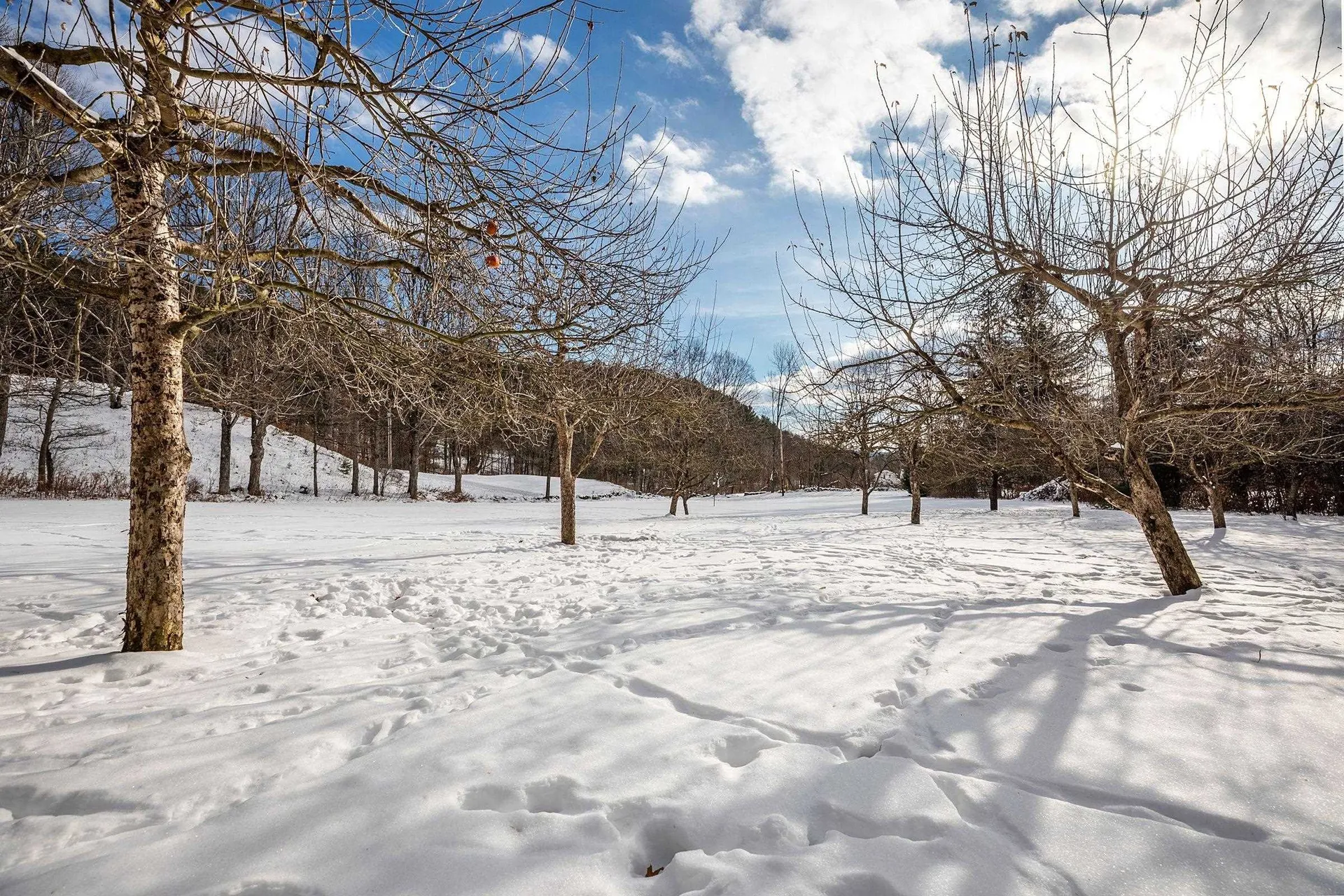 74 Barber Hill Road Pomfret VT 05067