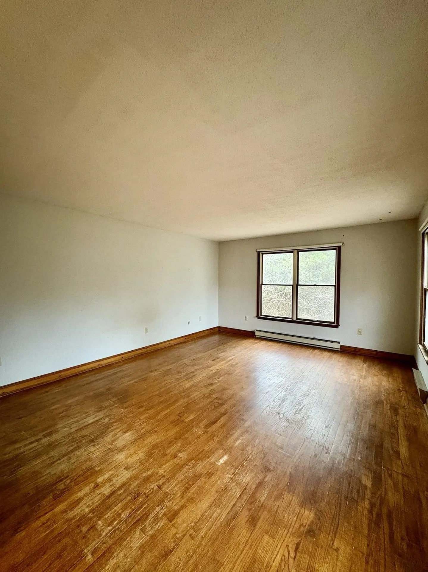 150 Swift Street South Burlington VT 05403