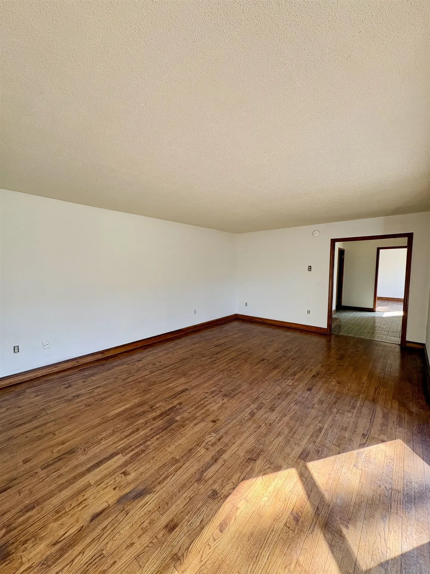 150 Swift Street South Burlington VT 05403