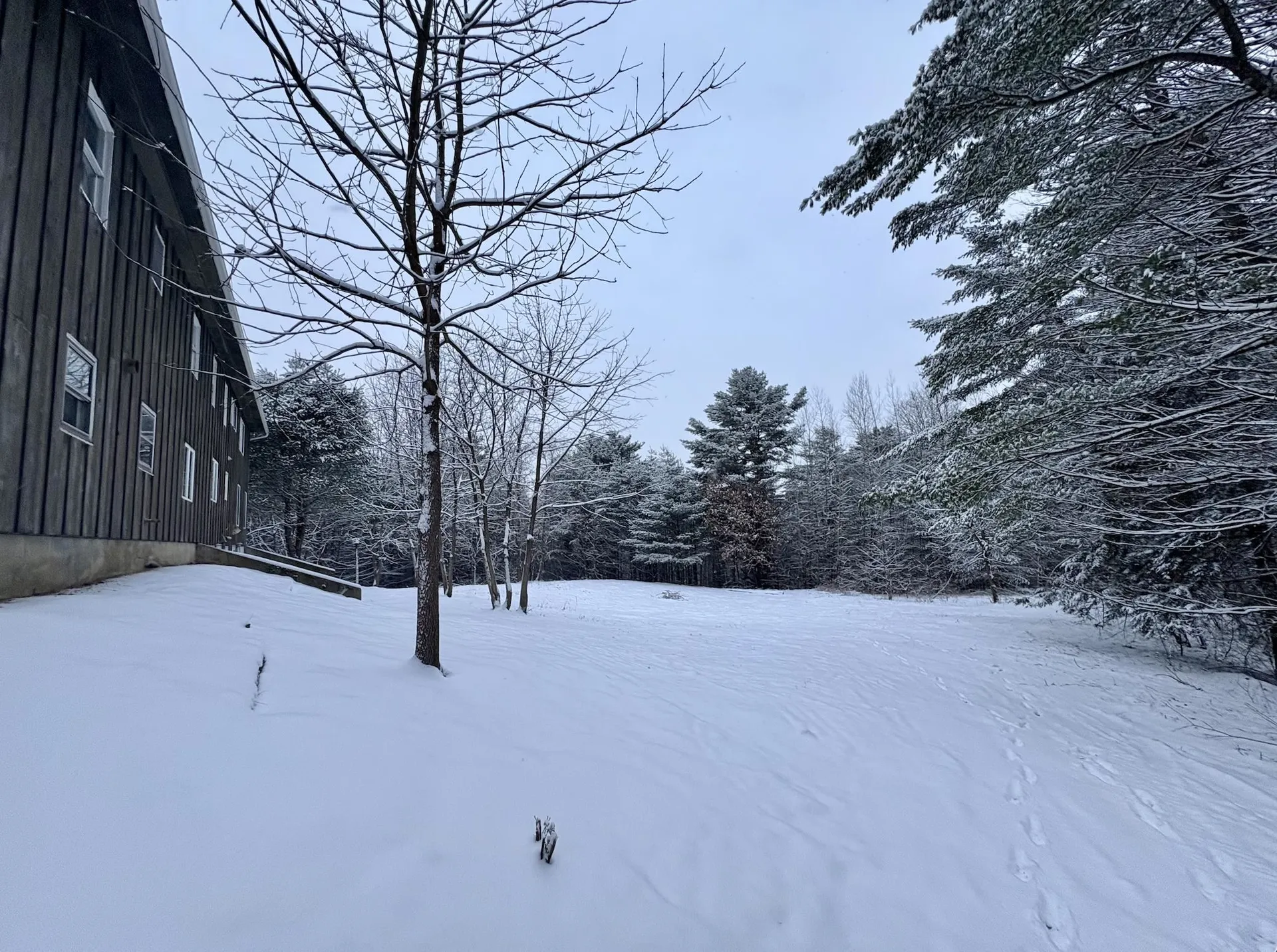 150 Swift Street South Burlington VT 05403