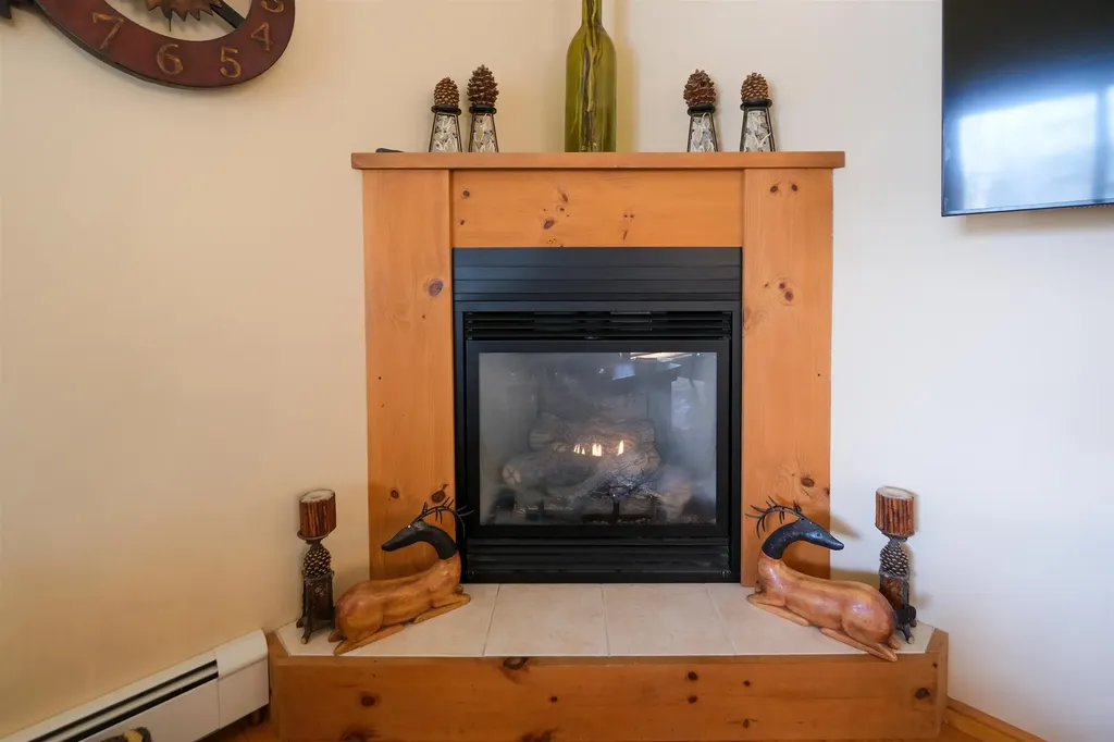 55 Trickle Brook Drive Cavendish VT 05142