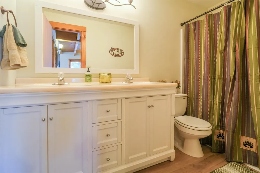 55 Trickle Brook Drive Cavendish VT 05142