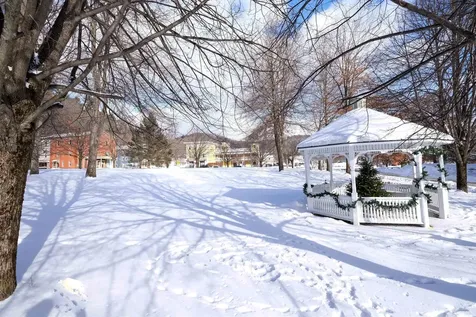 55 Trickle Brook Drive Cavendish VT 05142