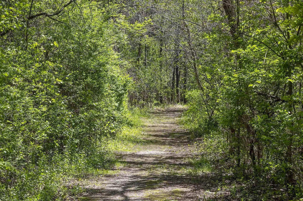 384 Riverbend Drive Manchester VT 05254