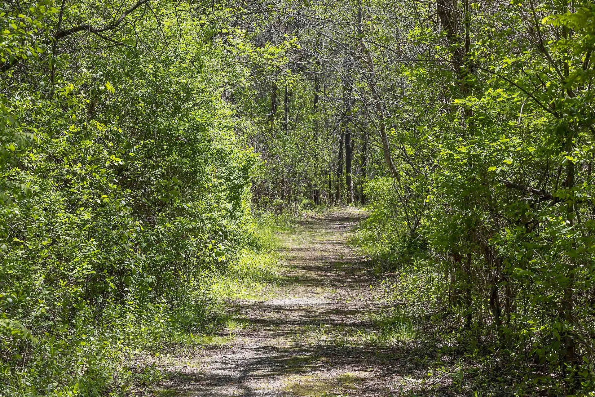 384 Riverbend Drive Manchester VT 05254