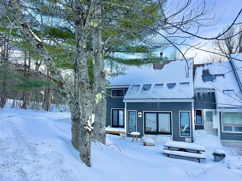 52A Suntec Loop Dover VT 05356