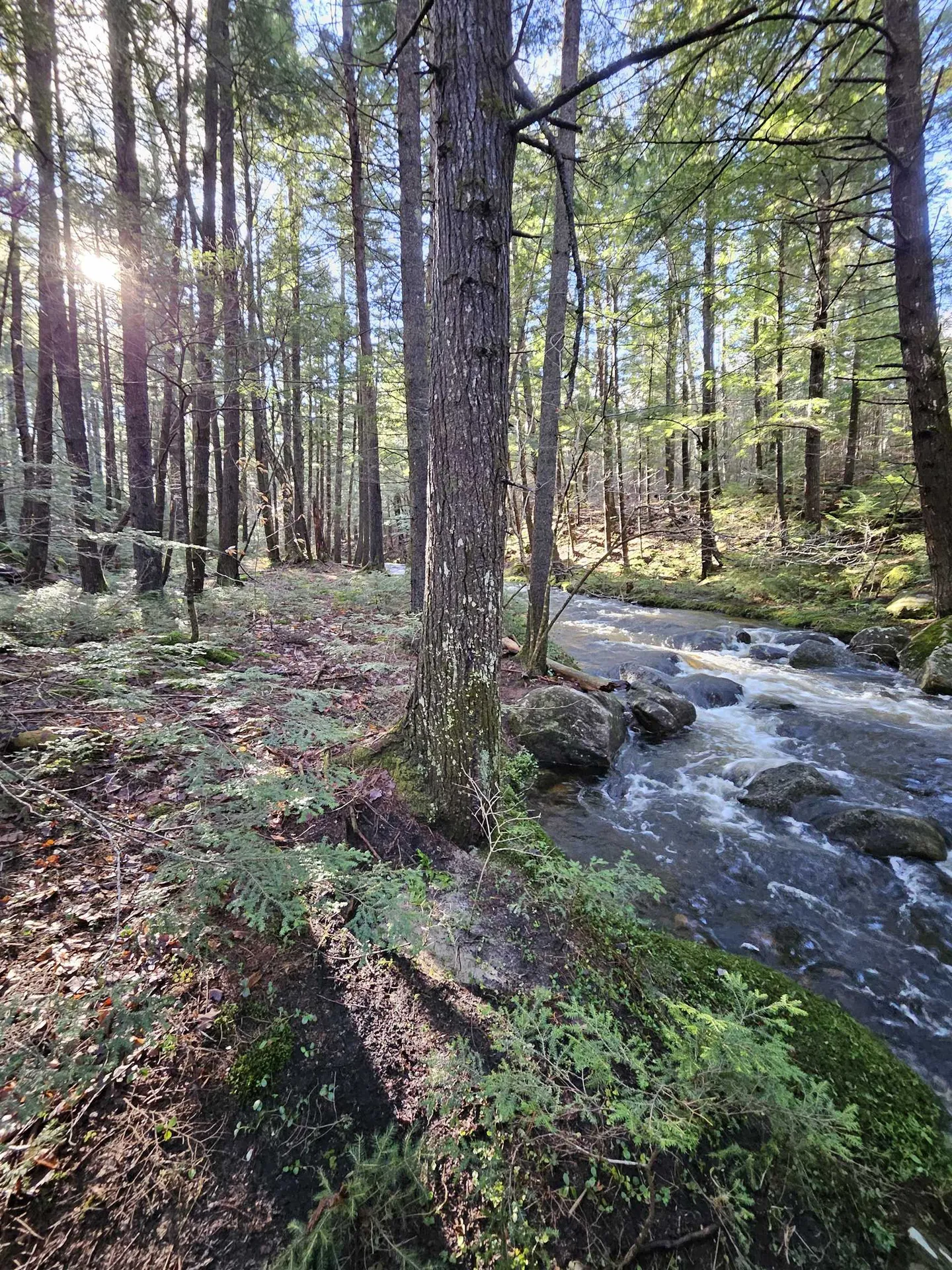 11 Clay Brook Drive Plymouth NH 03264