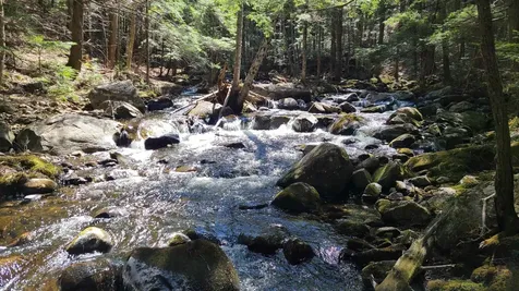 11 Clay Brook Drive Plymouth NH 03264