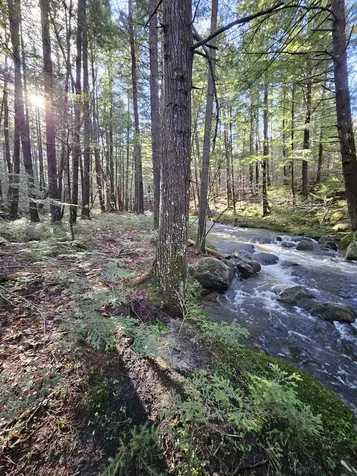 11 Clay Brook Drive Plymouth NH 03264