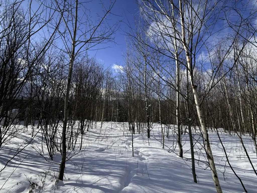 3 High View Road Warren VT 05674