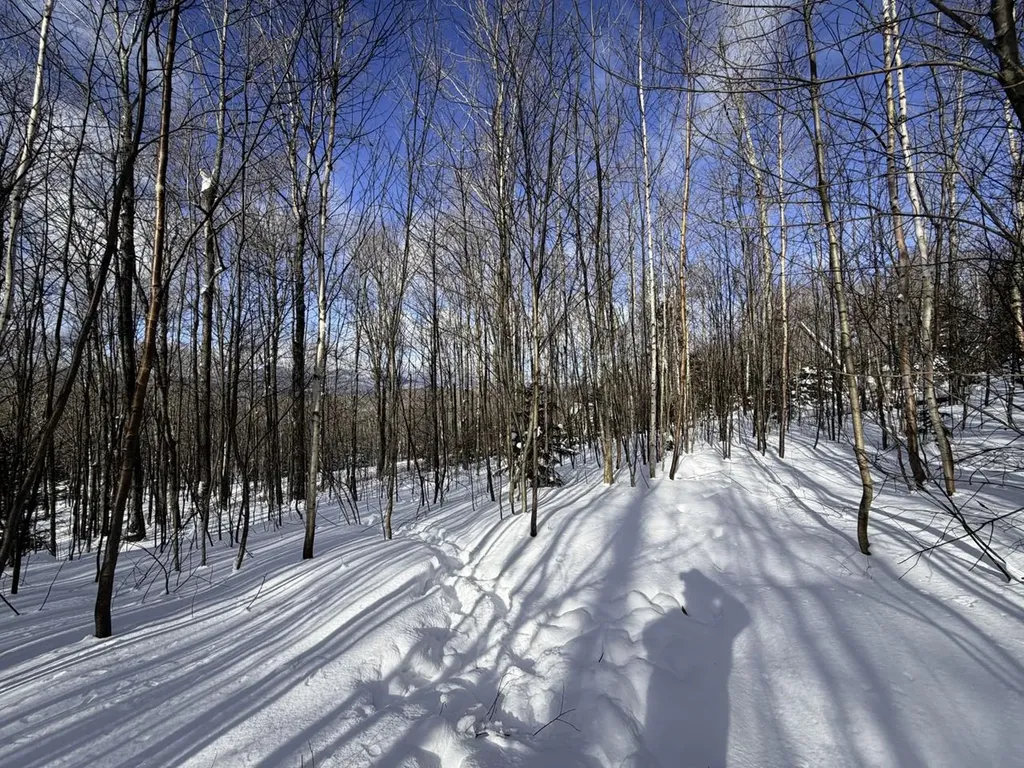 3 High View Road Warren VT 05674