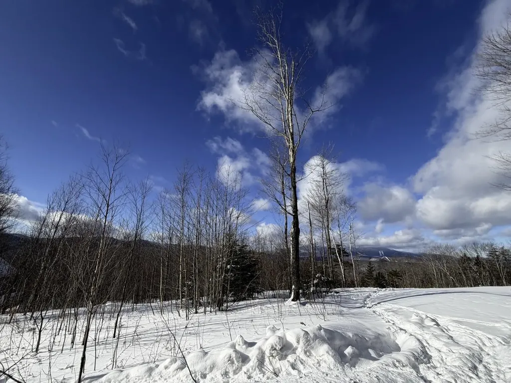 3 High View Road Warren VT 05674