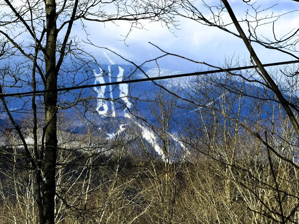 3 High View Road Warren VT 05674