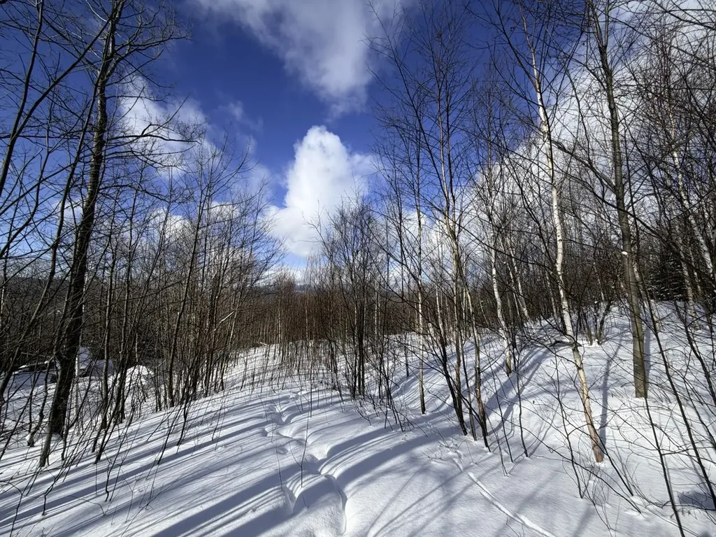 3 High View Road Warren VT 05674