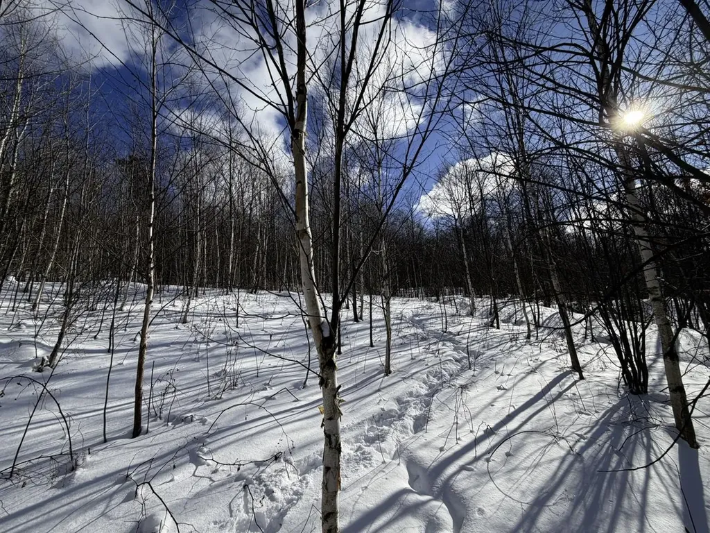 3 High View Road Warren VT 05674