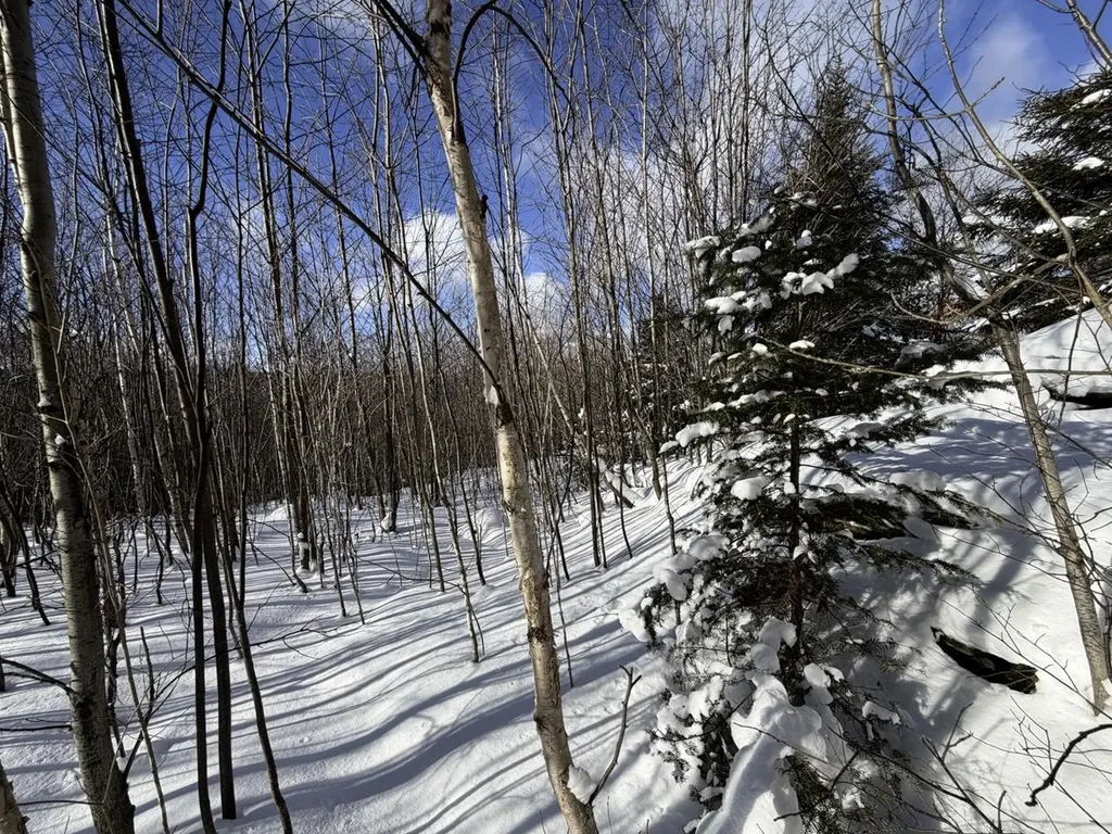 3 High View Road Warren VT 05674