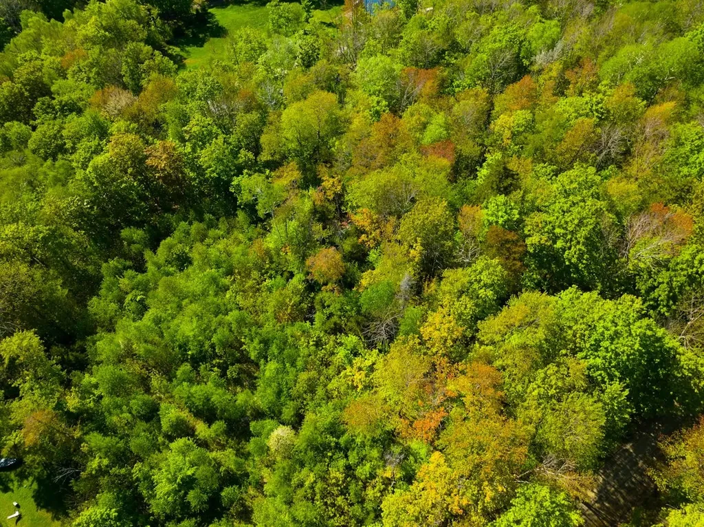 3 High View Road Warren VT 05674