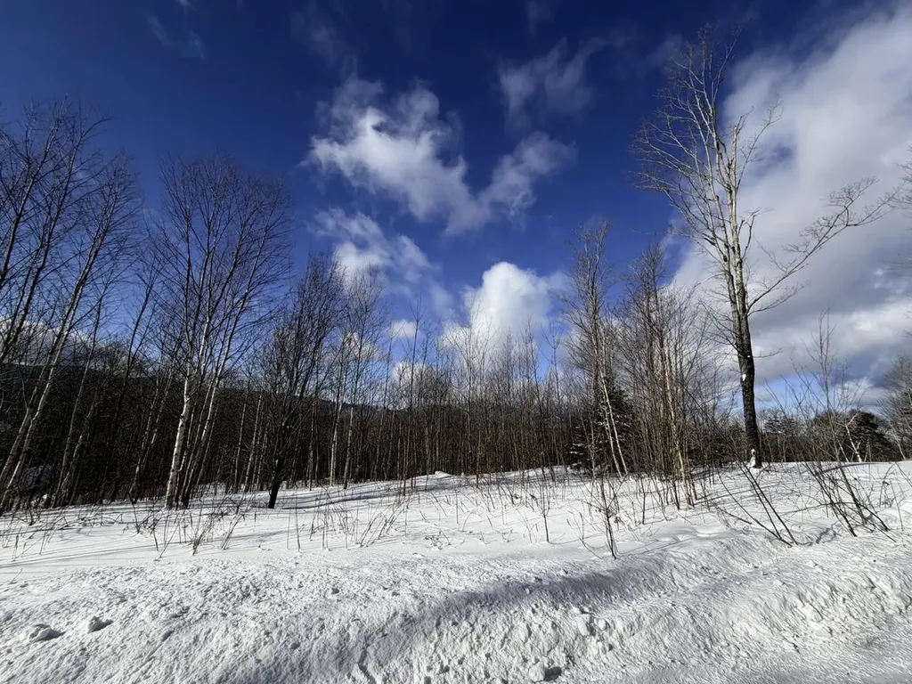 3 High View Road Warren VT 05674