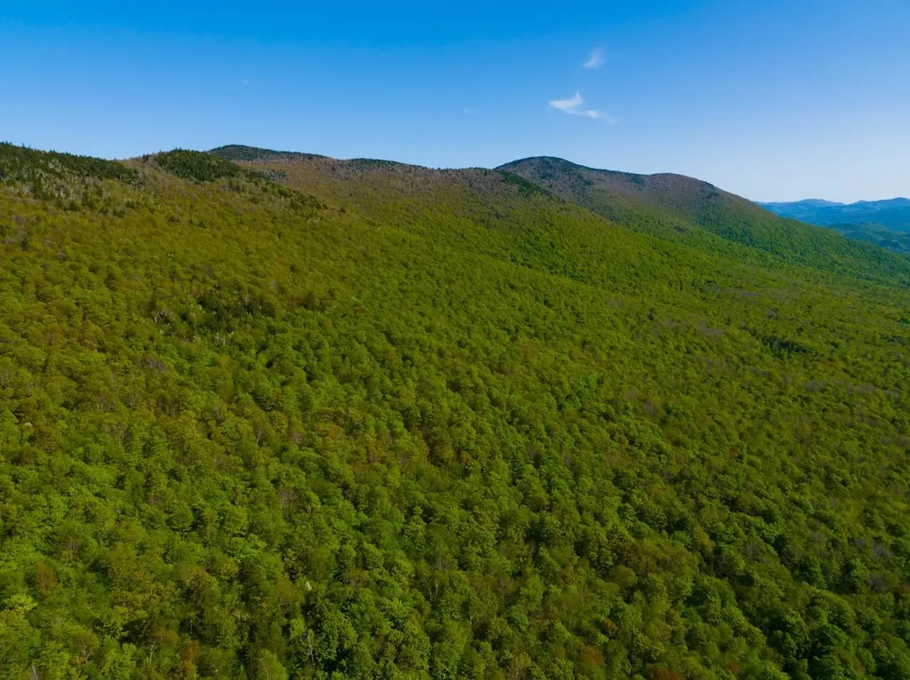 3 High View Road Warren VT 05674