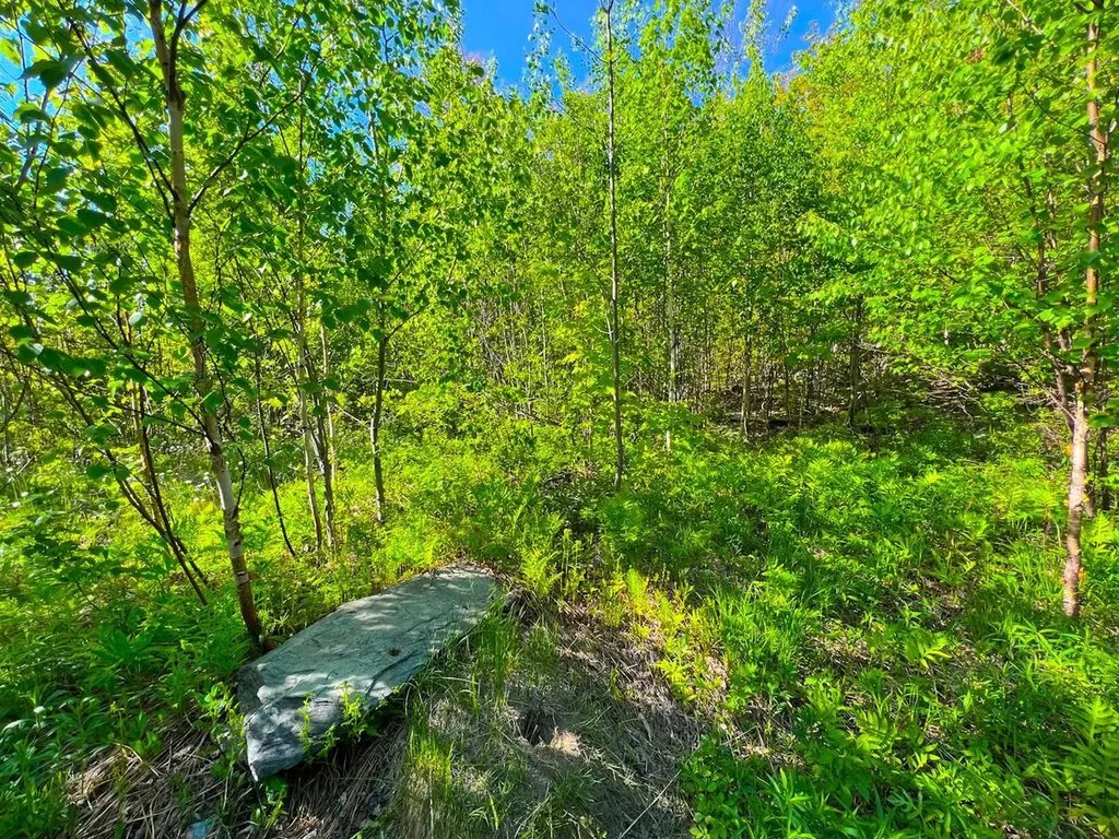 3 High View Road Warren VT 05674