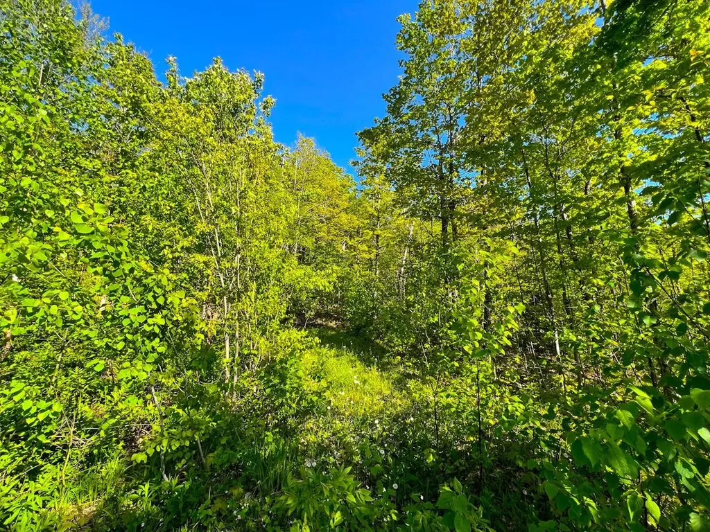 3 High View Road Warren VT 05674