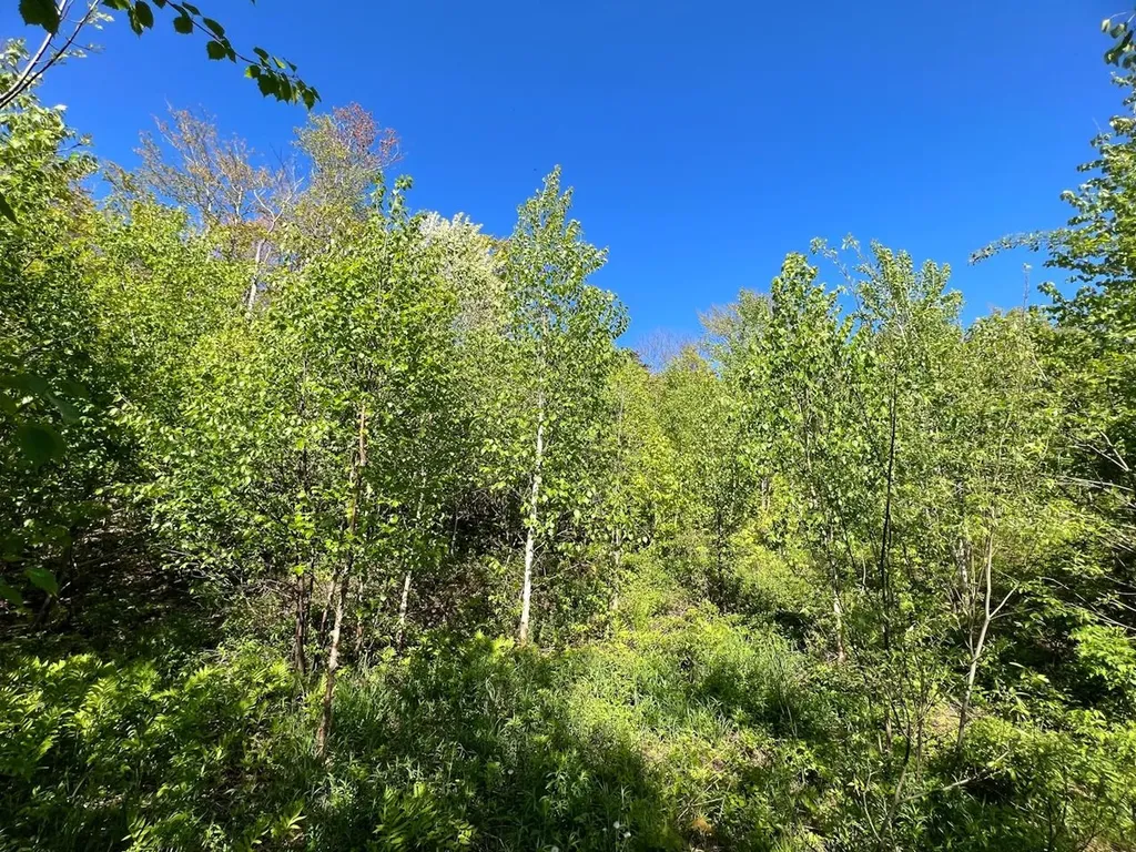 3 High View Road Warren VT 05674