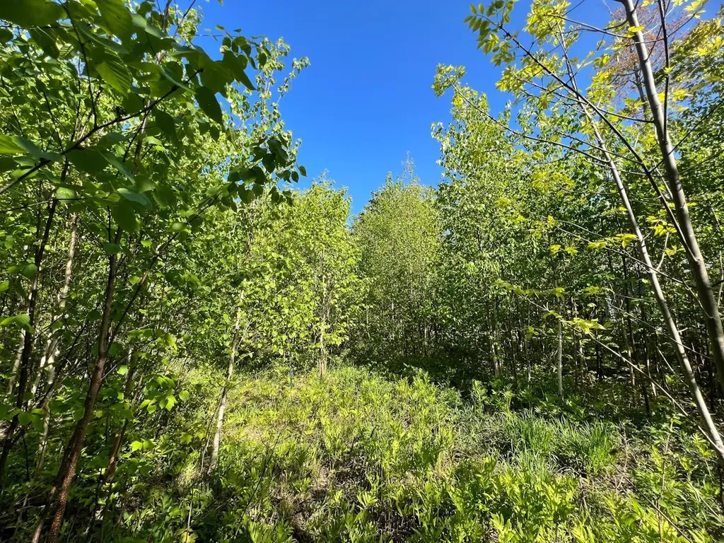 3 High View Road Warren VT 05674