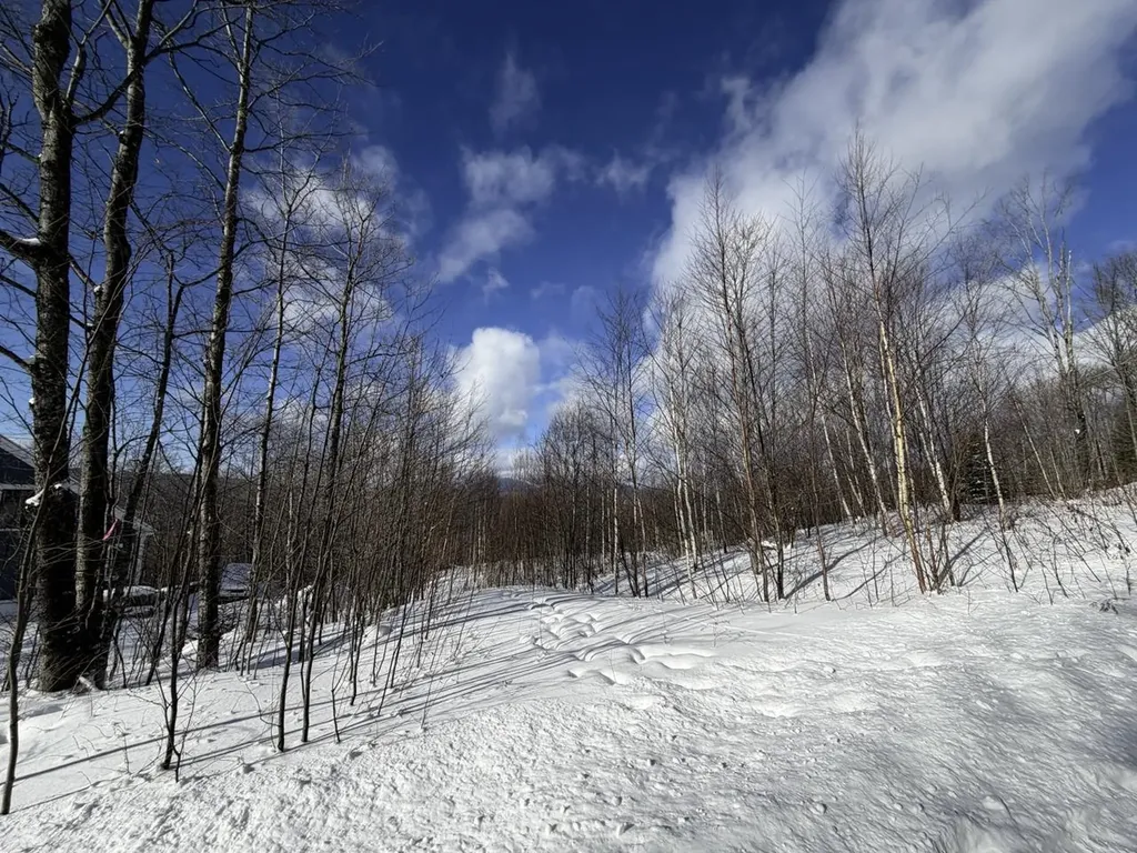 3 High View Road Warren VT 05674