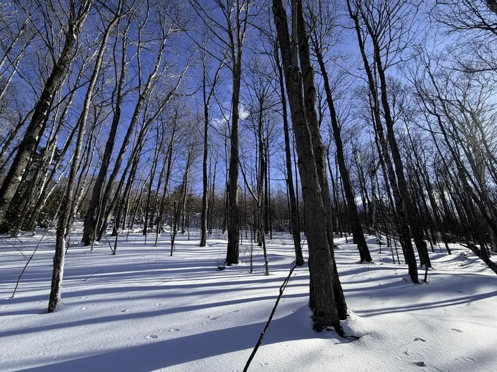 3 High View Road Warren VT 05674