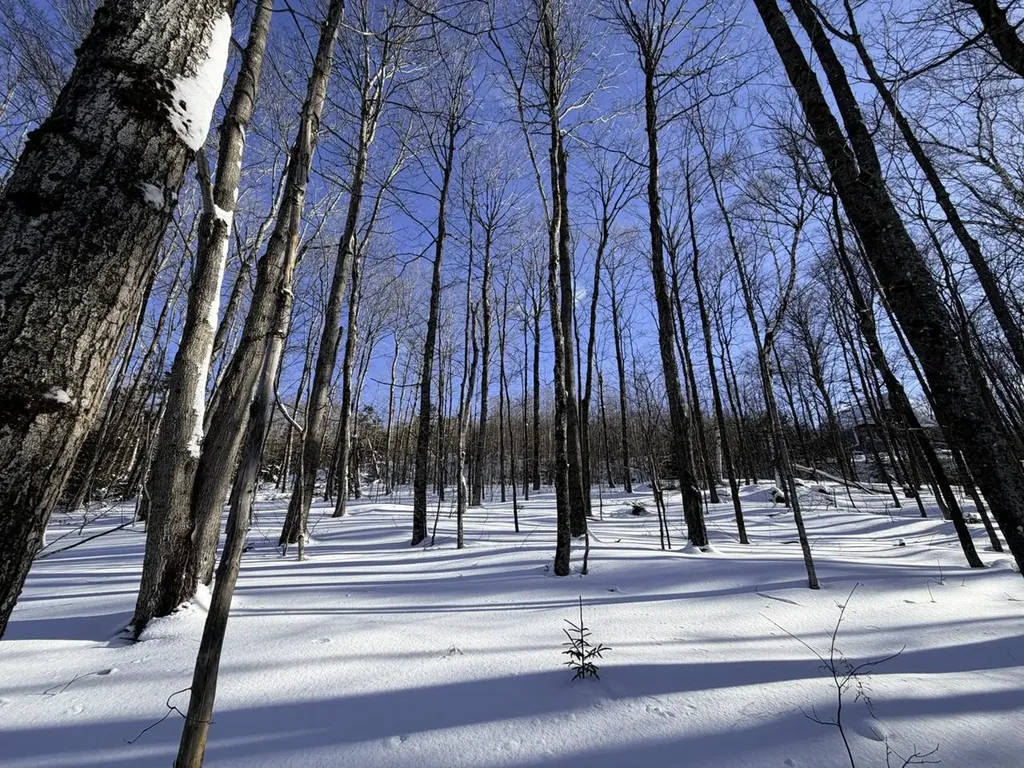 3 High View Road Warren VT 05674