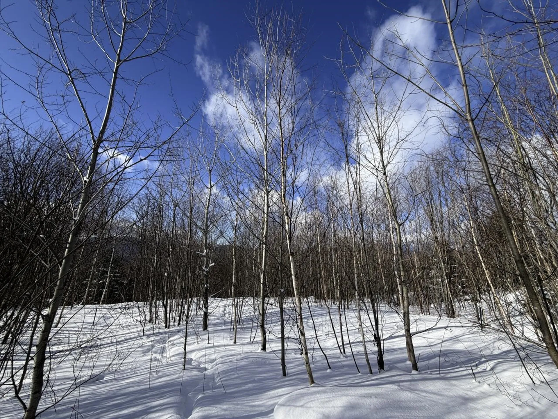 3 High View Road Warren VT 05674