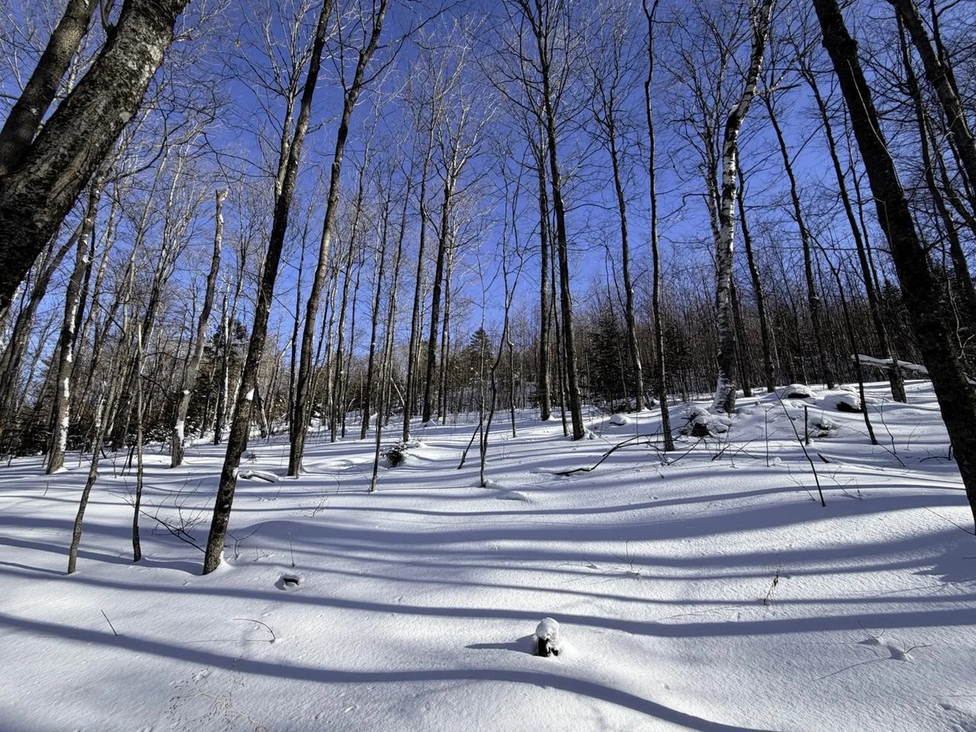 3 High View Road Warren VT 05674