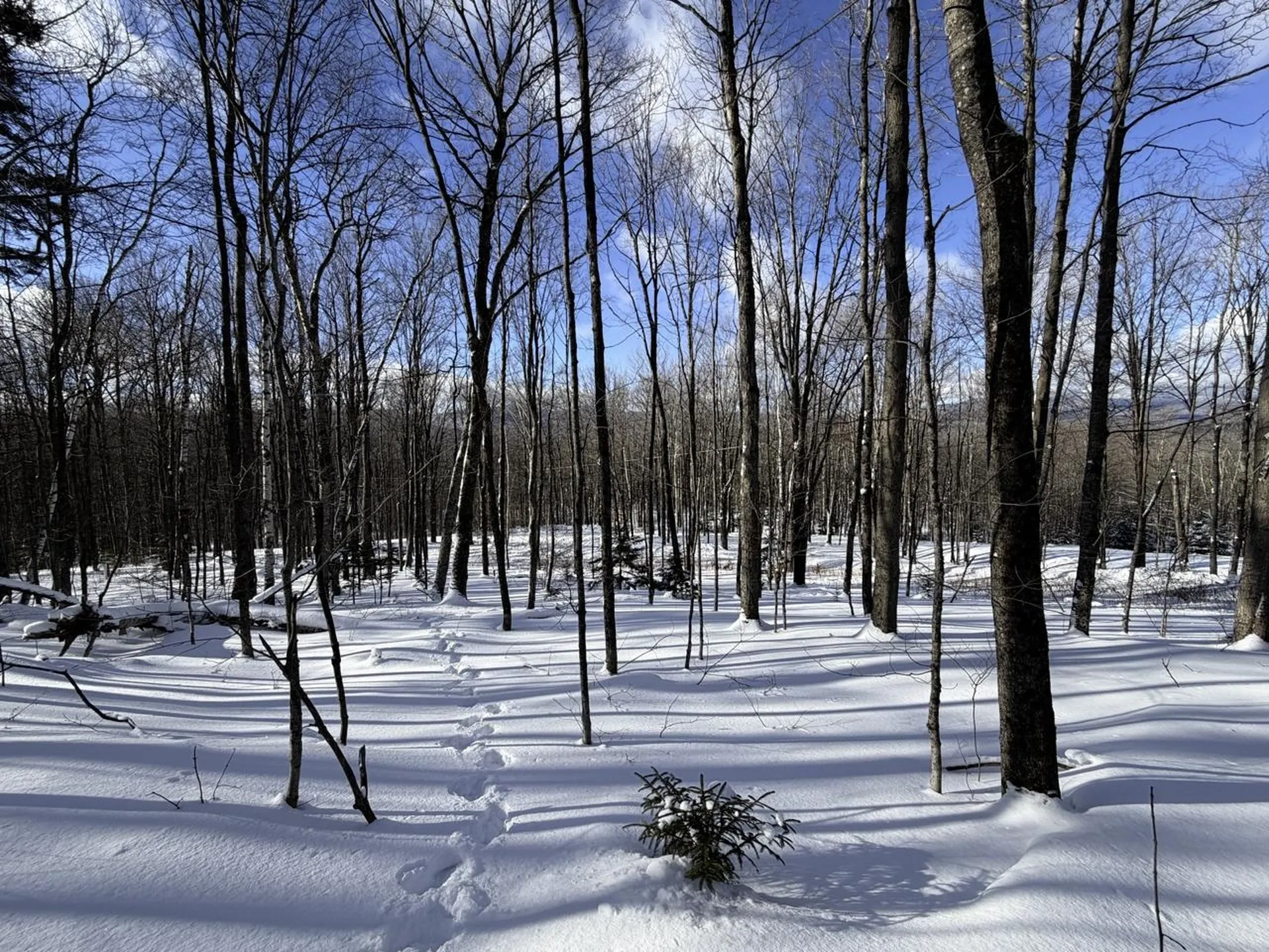 3 High View Road Warren VT 05674