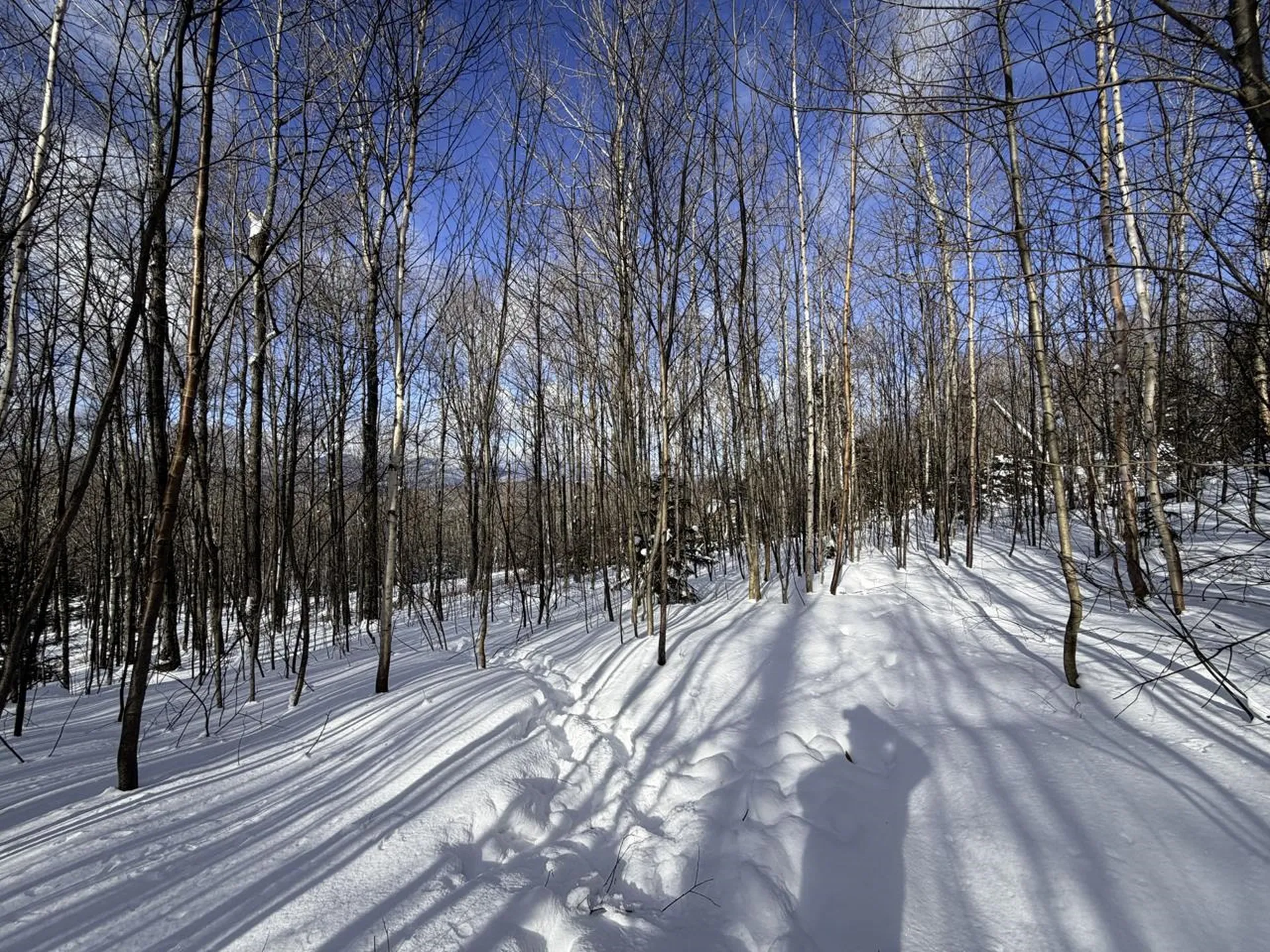 3 High View Road Warren VT 05674