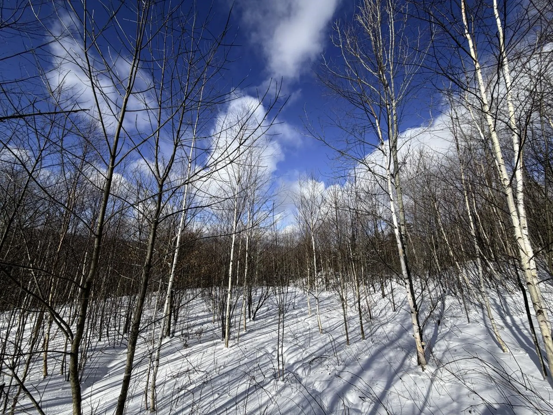 3 High View Road Warren VT 05674