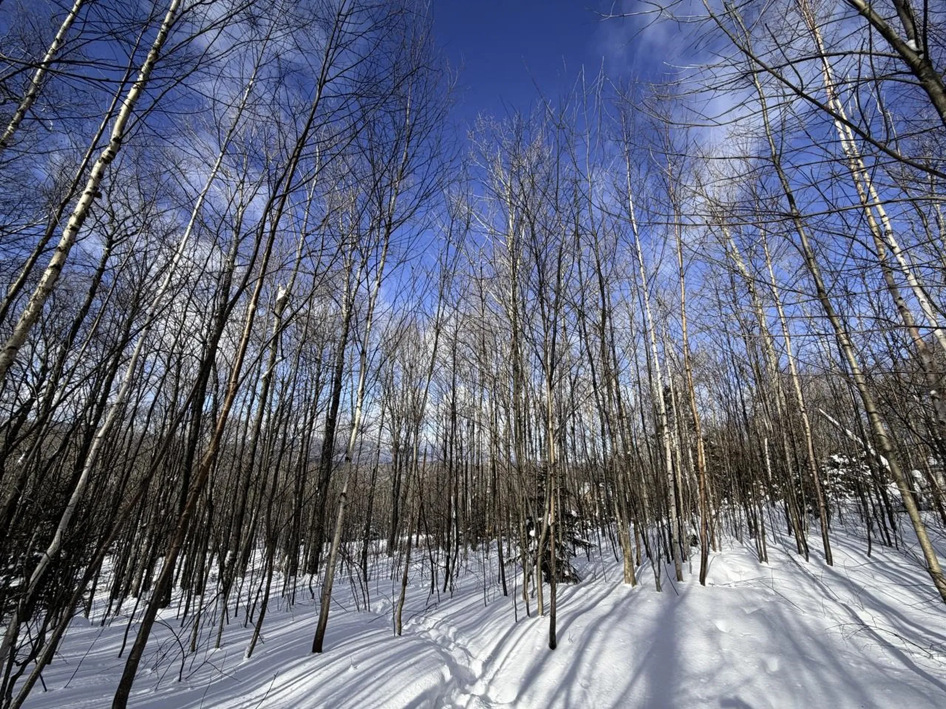 3 High View Road Warren VT 05674