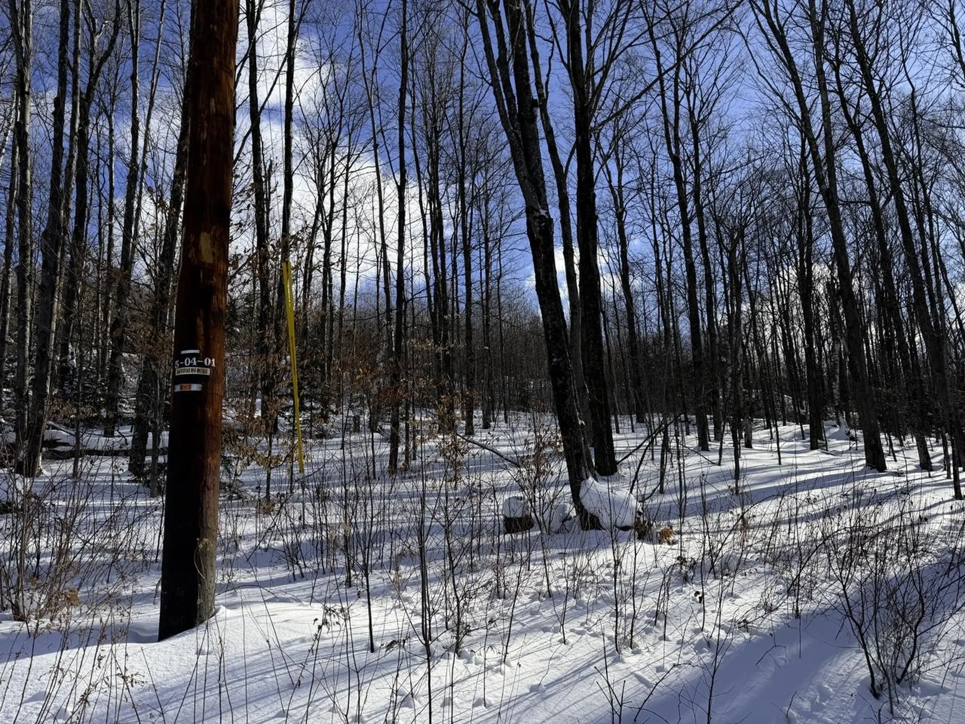 3 High View Road Warren VT 05674