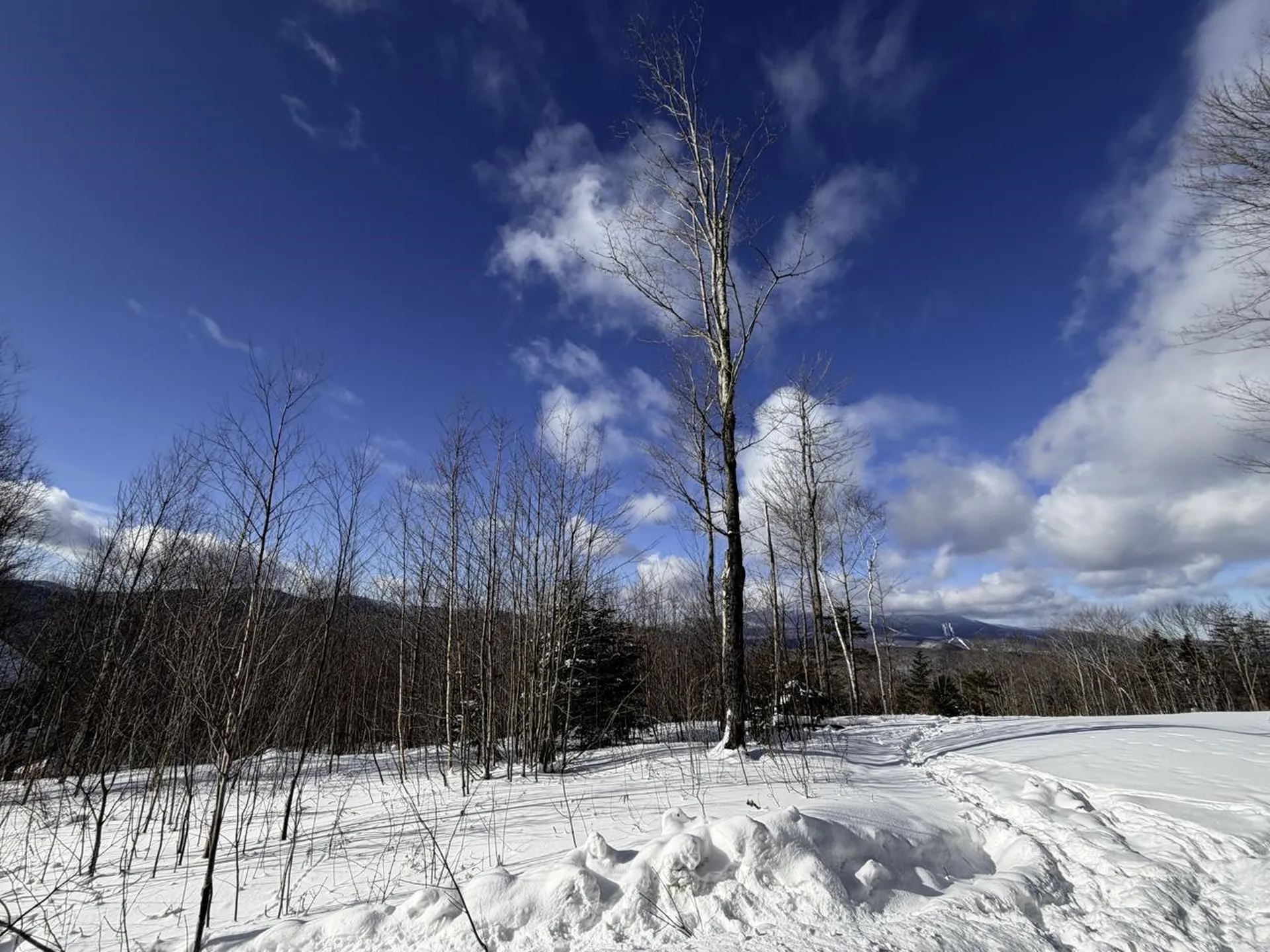 3 High View Road Warren VT 05674